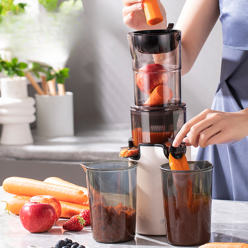 220V Household Electric Slow J - Citrus Juicer Bar ulasan dan harga